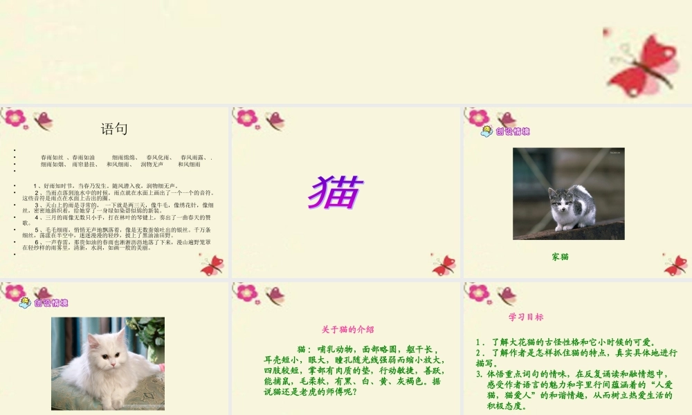 五年级语文下册 第2单元 6《猫》课件1 语文S版-语文S版小学五年级下册语文课件