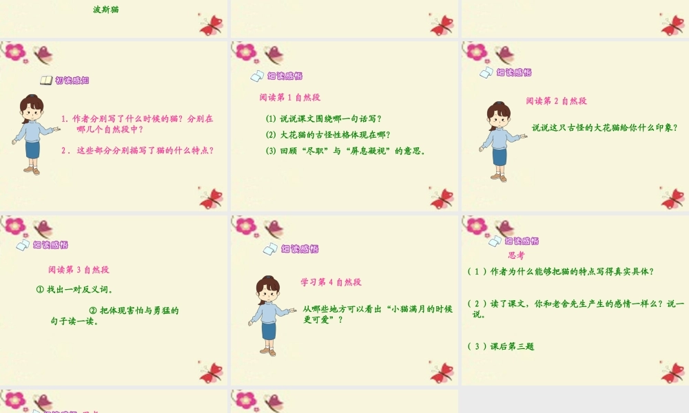 五年级语文下册 第2单元 6《猫》课件1 语文S版-语文S版小学五年级下册语文课件