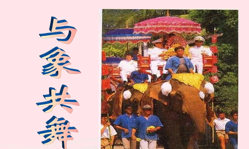 五年级语文下册 第八组 27 与象共舞课件 新人教版-新人教版小学五年级下册语文课件