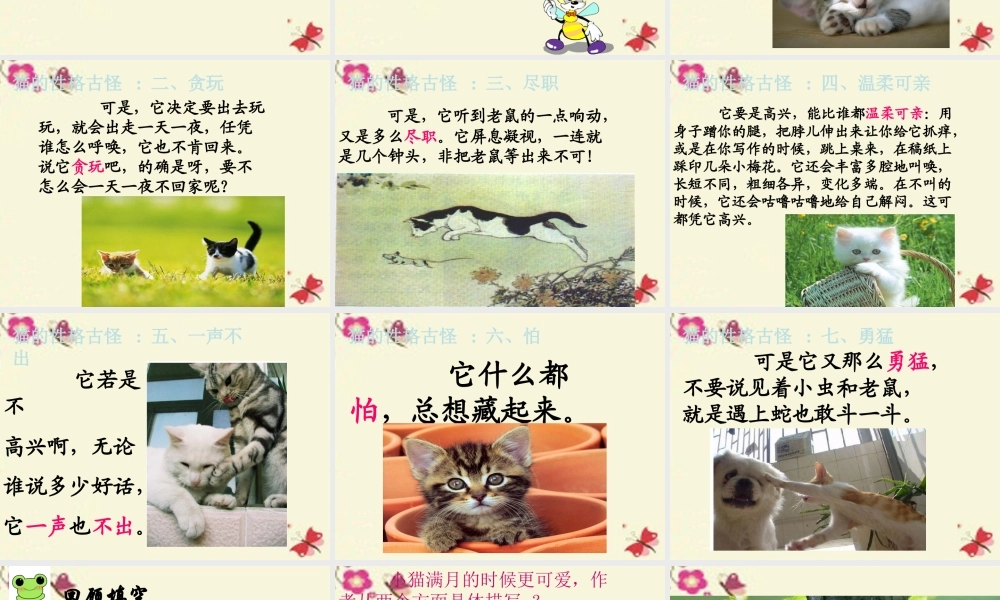 五年级语文下册 第2单元 6《猫》课件2 语文S版-语文S版小学五年级下册语文课件