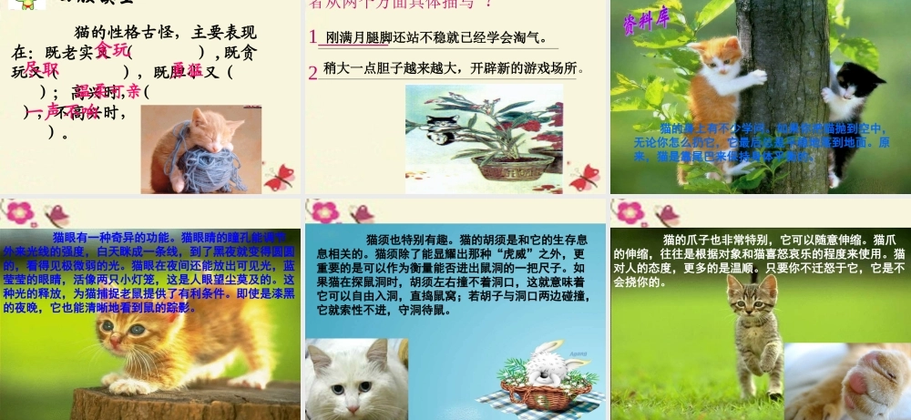 五年级语文下册 第2单元 6《猫》课件2 语文S版-语文S版小学五年级下册语文课件