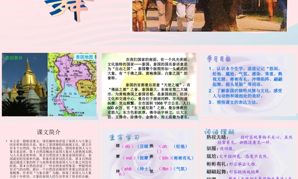 五年级语文下册 第八组 27 与象共舞课件1 新人教版-新人教版小学五年级下册语文课件