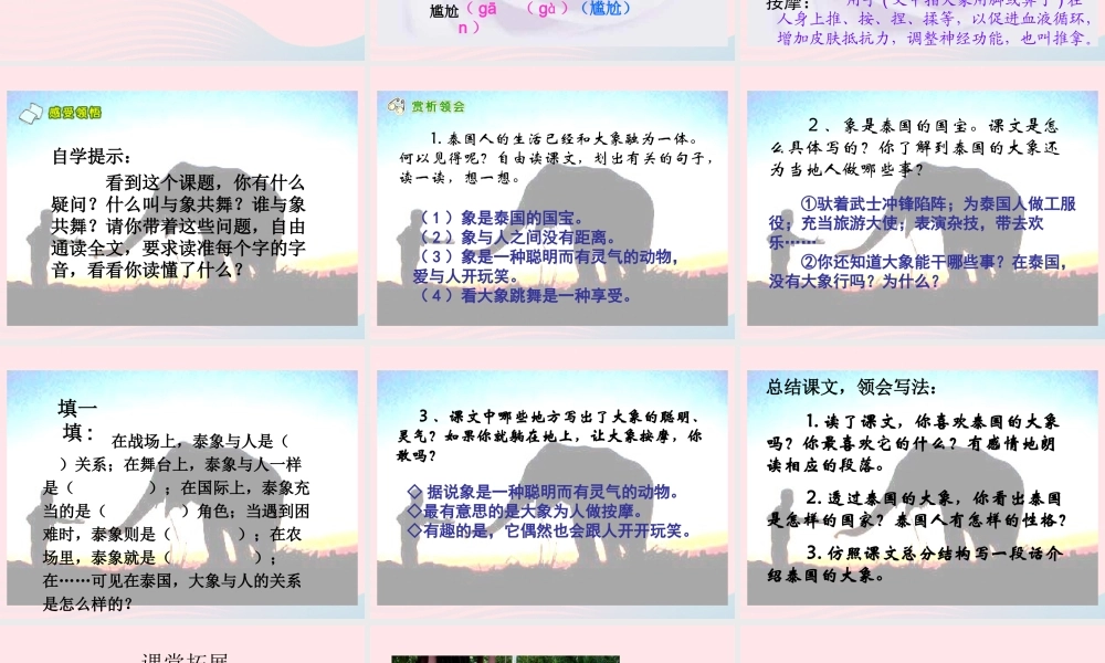 五年级语文下册 第八组 27 与象共舞课件1 新人教版-新人教版小学五年级下册语文课件