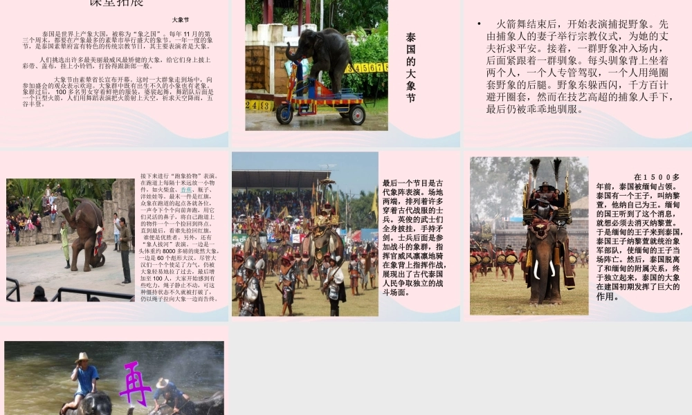 五年级语文下册 第八组 27 与象共舞课件1 新人教版-新人教版小学五年级下册语文课件