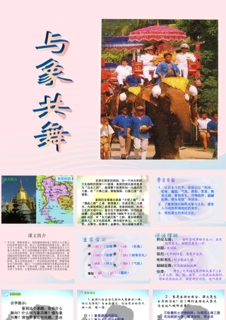 五年级语文下册 第八组 27 与象共舞课件1 新人教版-新人教版小学五年级下册语文课件