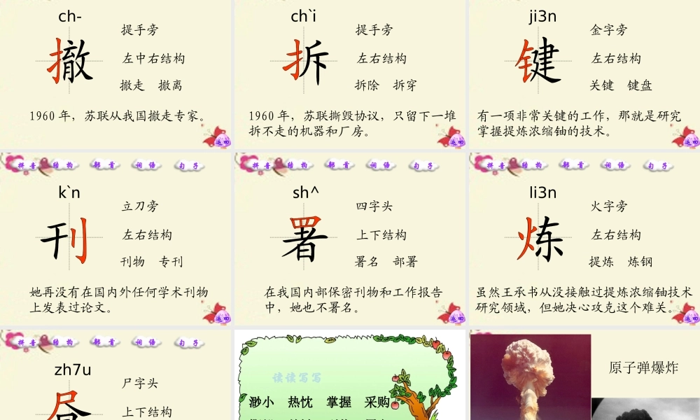 五年级语文下册 第5单元 24《隐姓》课件1 语文S版-语文S级下册语文课件