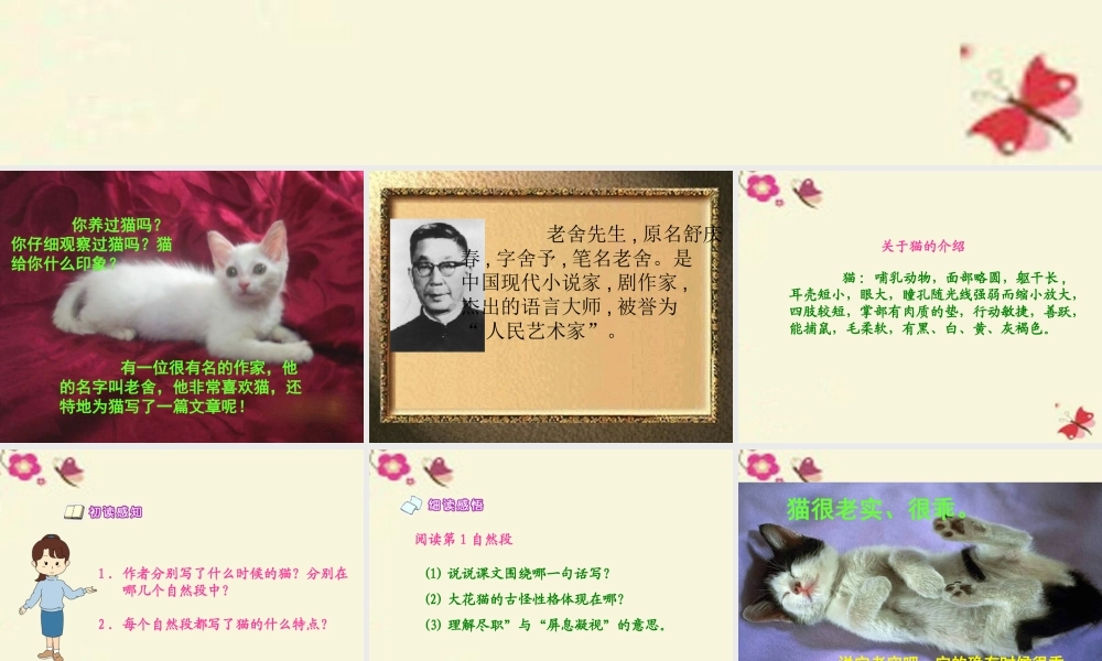 五年级语文下册 第2单元 6《猫》课件3 语文S版-语文S版小学五年级下册语文课件