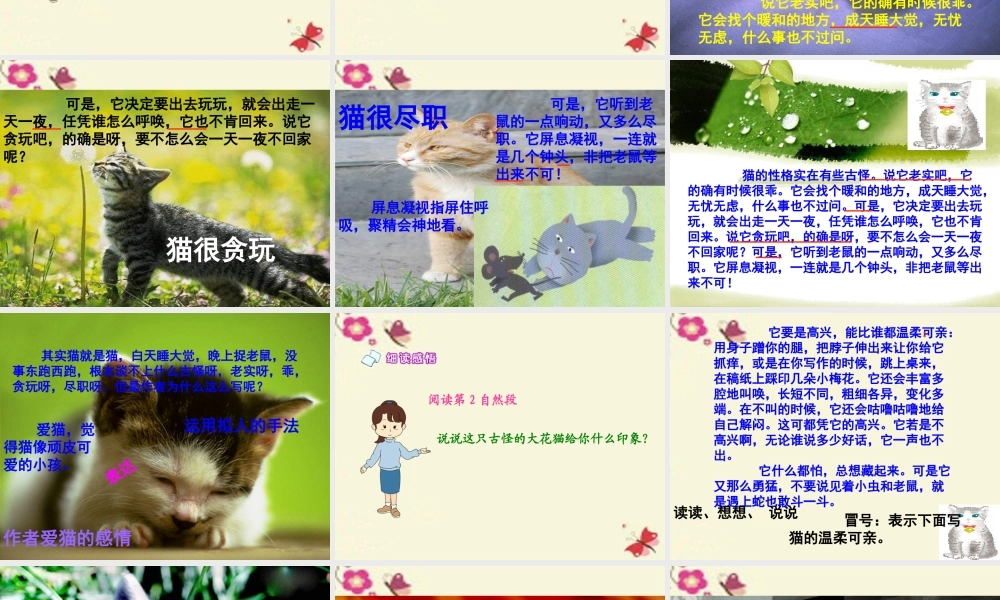 五年级语文下册 第2单元 6《猫》课件3 语文S版-语文S版小学五年级下册语文课件