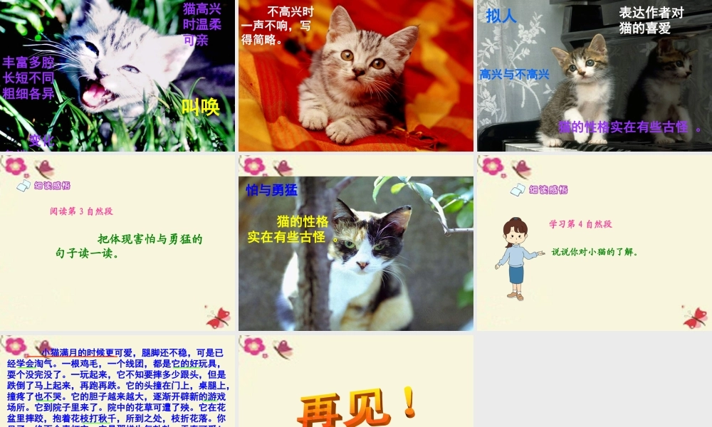 五年级语文下册 第2单元 6《猫》课件3 语文S版-语文S版小学五年级下册语文课件