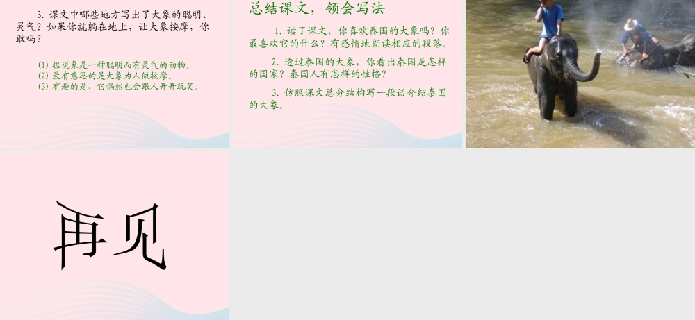 五年级语文下册 第八组 27 与象共舞课件2 新人教版-新人教版小学五年级下册语文课件