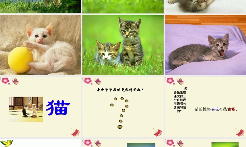 五年级语文下册 第2单元 6《猫》课件4 语文S版-语文S版小学五年级下册语文课件