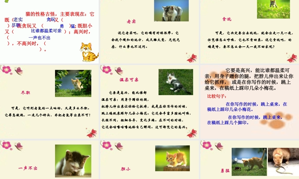 五年级语文下册 第2单元 6《猫》课件4 语文S版-语文S版小学五年级下册语文课件
