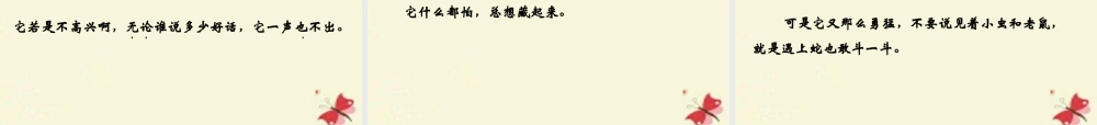 五年级语文下册 第2单元 6《猫》课件4 语文S版-语文S版小学五年级下册语文课件