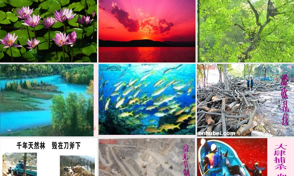 五年级语文上册 第六单元 21《只有一个地球》原创课件 北京版-北京版小学五年级上册语文课件