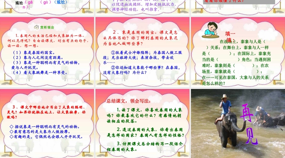 五年级语文下册 第八组 27 与象共舞课件3 新人教版-新人教版小学五年级下册语文课件