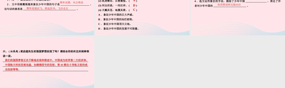 五年级语文上册 第四单元中国说(节选)作业课件 新人教版-新人教级上册语文课件