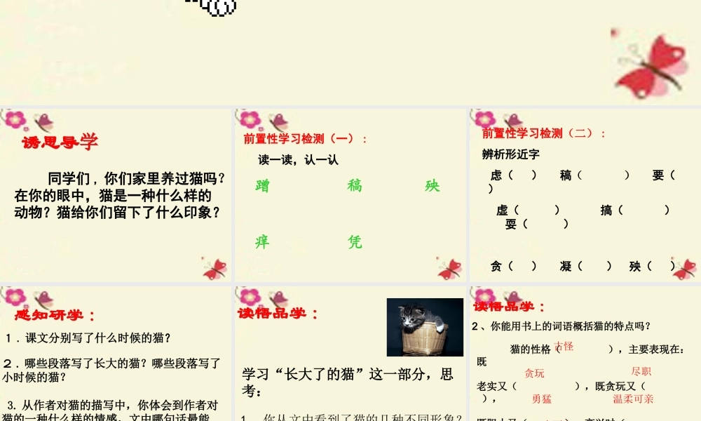 五年级语文下册 第2单元 6《猫》课件5 语文S版-语文S版小学五年级下册语文课件