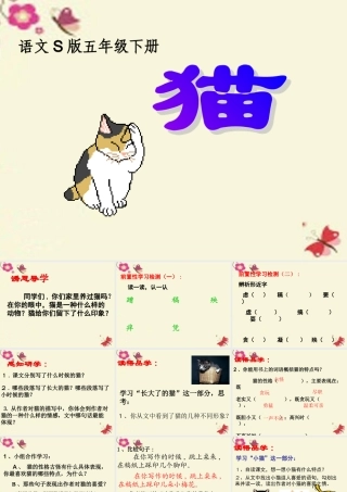 五年级语文下册 第2单元 6《猫》课件5 语文S版-语文S版小学五年级下册语文课件