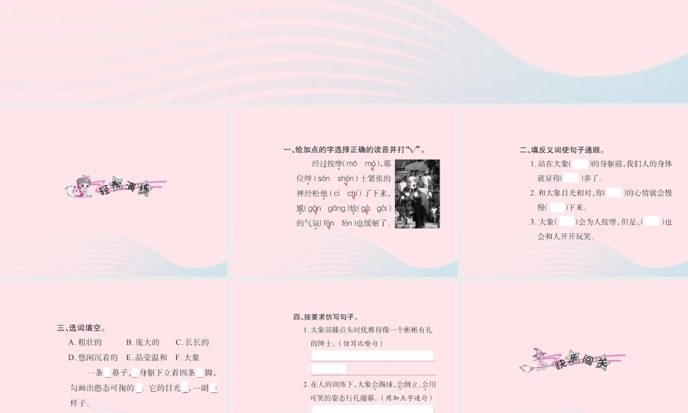 五年级语文下册 第八组 27 与象共舞习题课件 新人教版-新人教版小学五年级下册语文课件