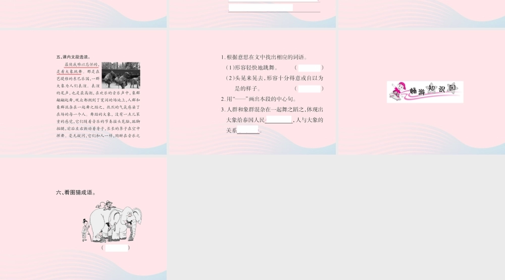 五年级语文下册 第八组 27 与象共舞习题课件 新人教版-新人教版小学五年级下册语文课件
