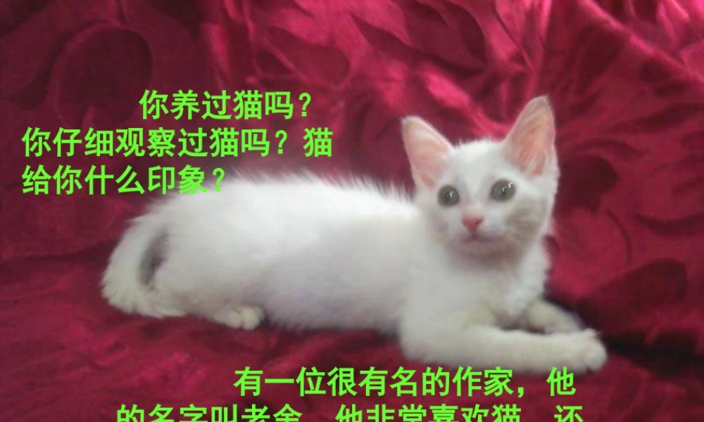 五年级语文下册 第2单元 6《猫》课件6 语文S版-语文S版小学五年级下册语文课件