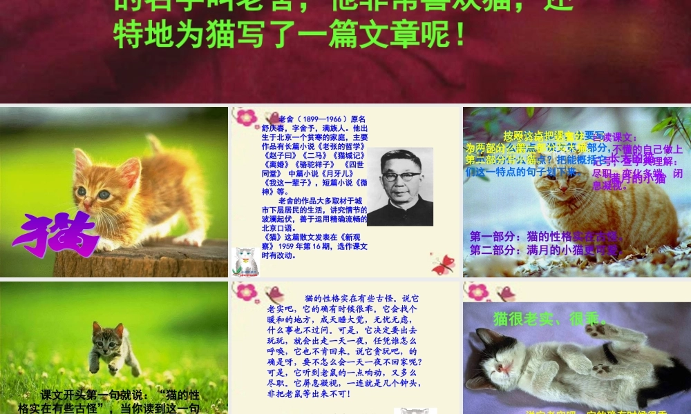 五年级语文下册 第2单元 6《猫》课件6 语文S版-语文S版小学五年级下册语文课件