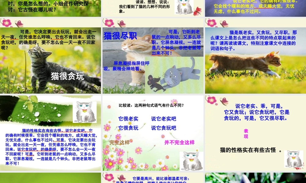 五年级语文下册 第2单元 6《猫》课件6 语文S版-语文S版小学五年级下册语文课件