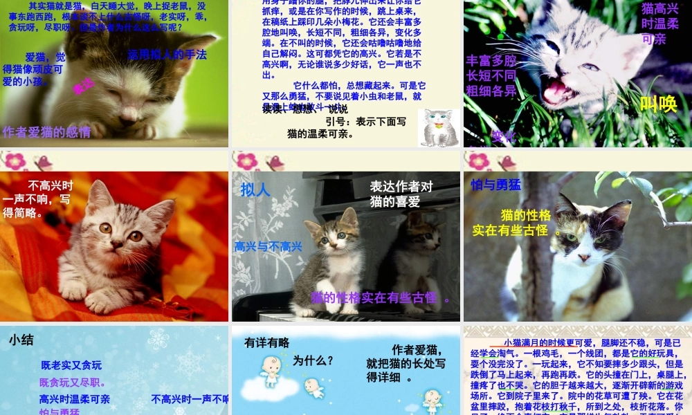 五年级语文下册 第2单元 6《猫》课件6 语文S版-语文S版小学五年级下册语文课件