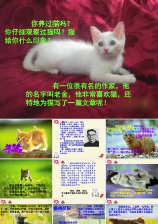 五年级语文下册 第2单元 6《猫》课件6 语文S版-语文S版小学五年级下册语文课件