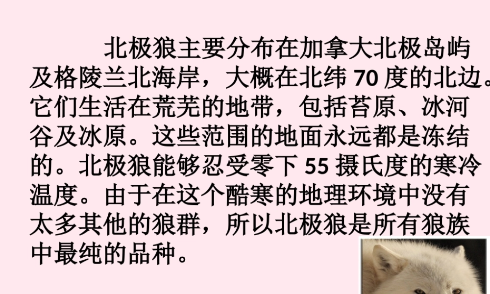 五年级语文上册 第六单元 24《与北极狼为友的科学家》课件 北京版-北京版小学五年级上册语文课件