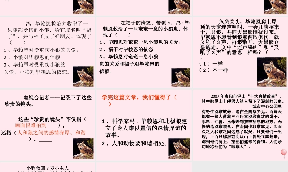 五年级语文上册 第六单元 24《与北极狼为友的科学家》课件 北京版-北京版小学五年级上册语文课件