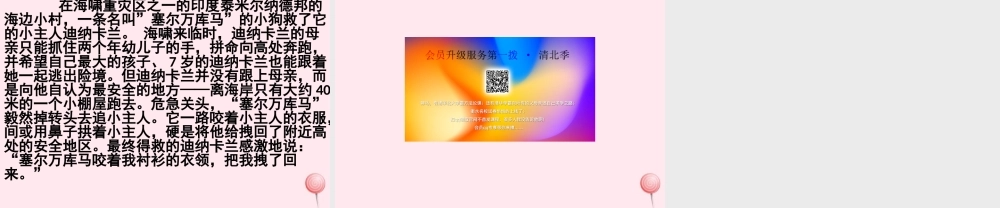 五年级语文上册 第六单元 24《与北极狼为友的科学家》课件 北京版-北京版小学五年级上册语文课件