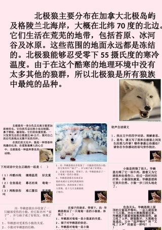 五年级语文上册 第六单元 24《与北极狼为友的科学家》课件 北京版-北京版小学五年级上册语文课件