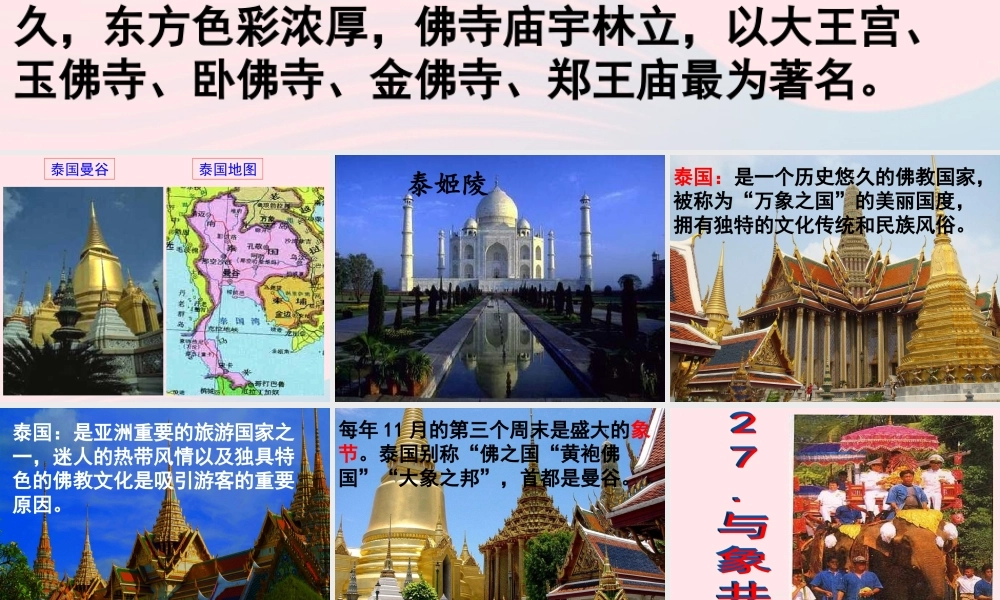 五年级语文下册 第八组 27《与象共舞》课件1 新人教版-新人教版小学五年级下册语文课件