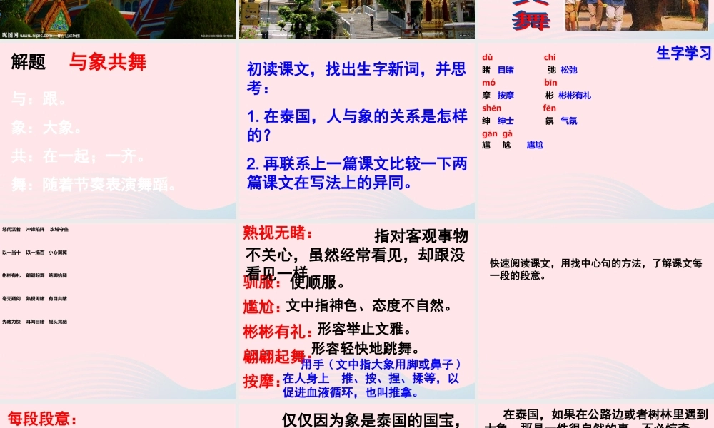 五年级语文下册 第八组 27《与象共舞》课件1 新人教版-新人教版小学五年级下册语文课件