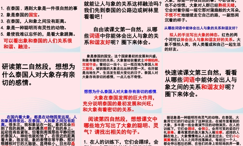五年级语文下册 第八组 27《与象共舞》课件1 新人教版-新人教版小学五年级下册语文课件