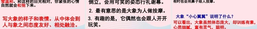 五年级语文下册 第八组 27《与象共舞》课件1 新人教版-新人教版小学五年级下册语文课件
