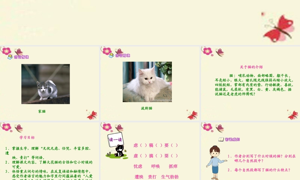 五年级语文下册 第2单元 6《猫》课件7 语文S版-语文S版小学五年级下册语文课件