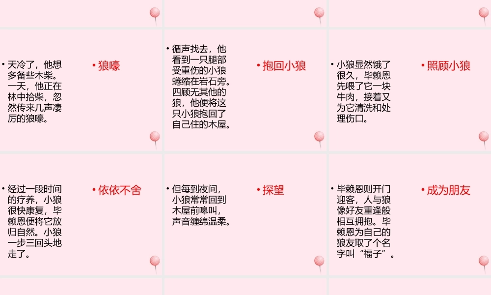 五年级语文上册 第六单元 24《与北极狼为友的科学家》课件 北京版-北京级上册语文课件