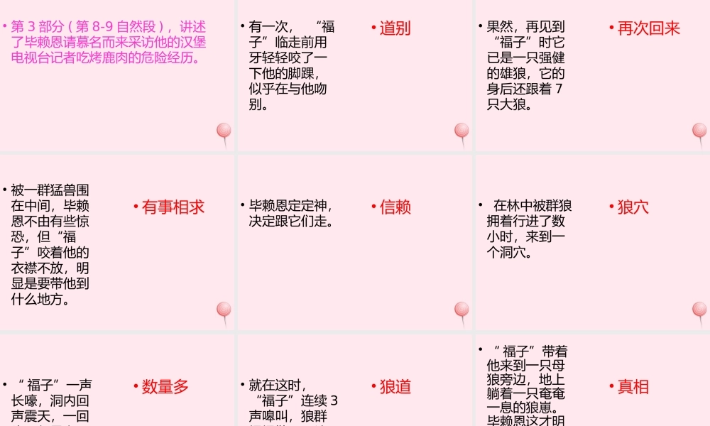 五年级语文上册 第六单元 24《与北极狼为友的科学家》课件 北京版-北京级上册语文课件