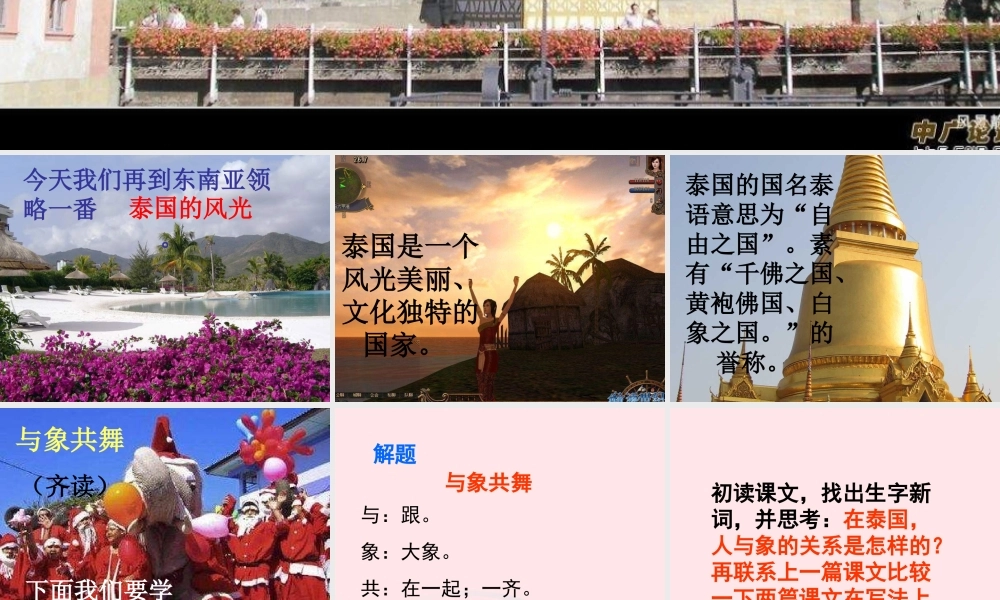 五年级语文下册 第八组 27《与象共舞》课件2 新人教版-新人教版小学五年级下册语文课件