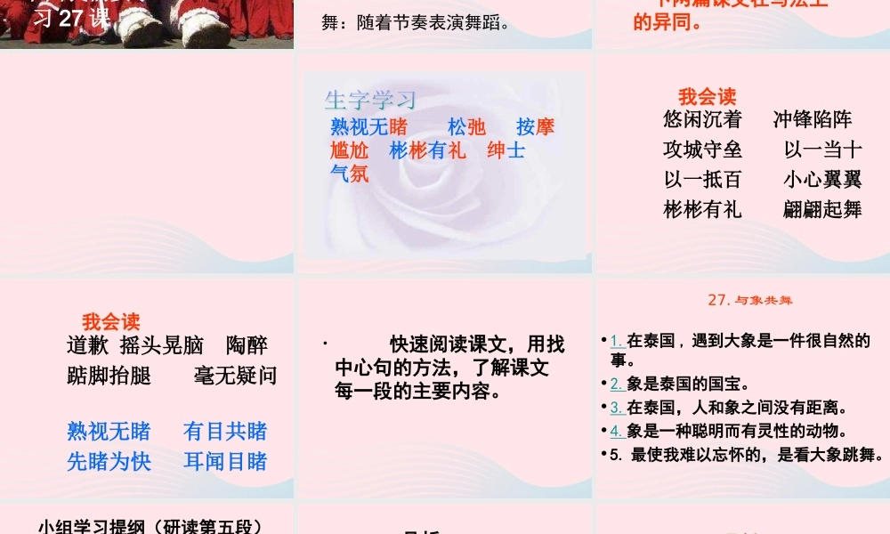 五年级语文下册 第八组 27《与象共舞》课件2 新人教版-新人教版小学五年级下册语文课件