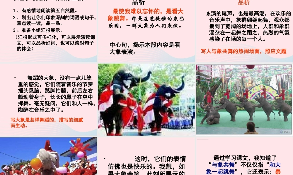 五年级语文下册 第八组 27《与象共舞》课件2 新人教版-新人教版小学五年级下册语文课件