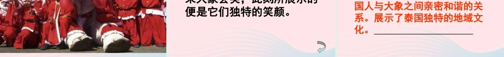 五年级语文下册 第八组 27《与象共舞》课件2 新人教版-新人教版小学五年级下册语文课件