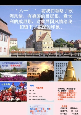 五年级语文下册 第八组 27《与象共舞》课件2 新人教版-新人教版小学五年级下册语文课件