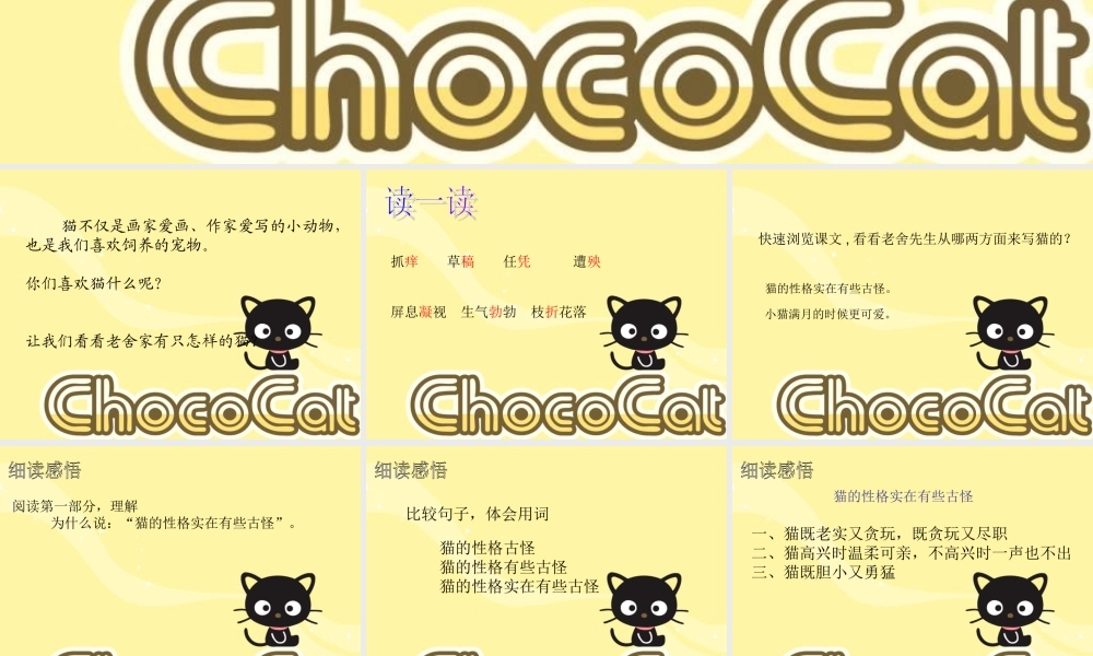 五年级语文下册 第2单元 6《猫》课件8 语文S版-语文S版小学五年级下册语文课件