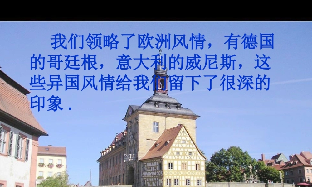 五年级语文下册 第八组 27《与象共舞》课堂教学课件1 新人教版-新人教版小学五年级下册语文课件