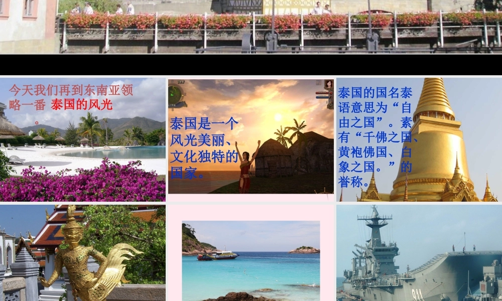 五年级语文下册 第八组 27《与象共舞》课堂教学课件1 新人教版-新人教版小学五年级下册语文课件