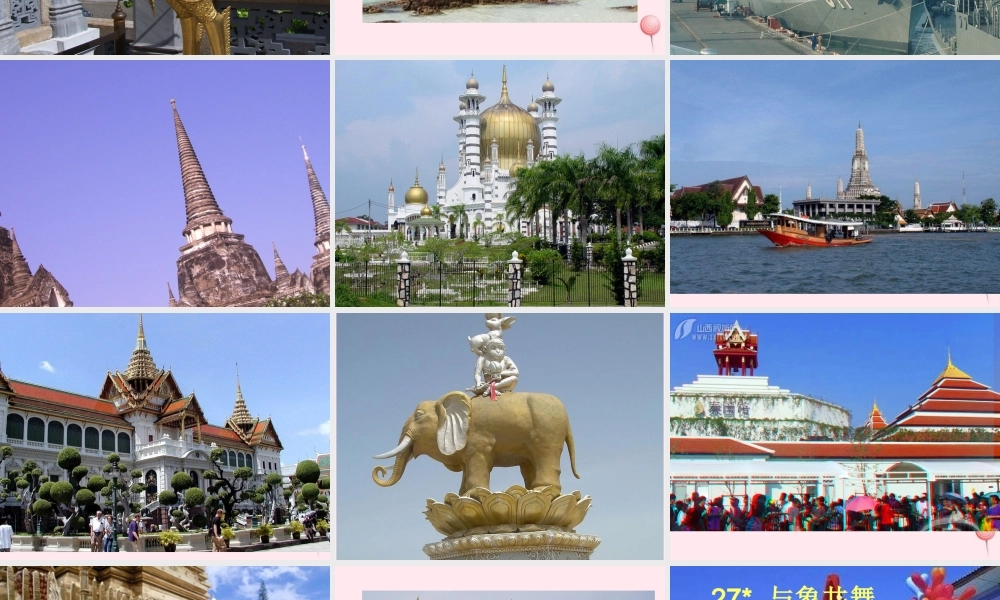 五年级语文下册 第八组 27《与象共舞》课堂教学课件1 新人教版-新人教版小学五年级下册语文课件