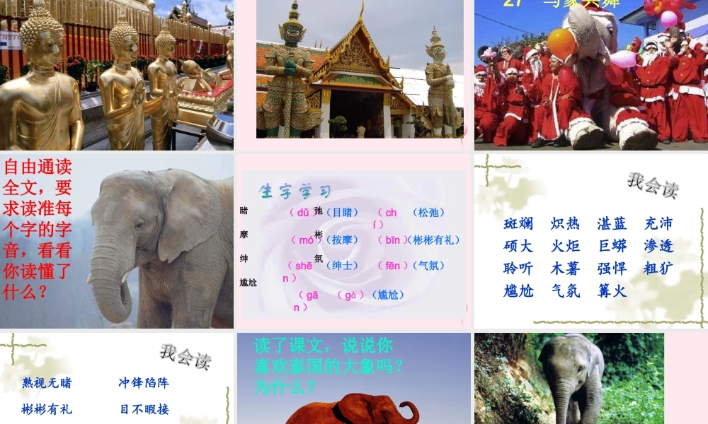 五年级语文下册 第八组 27《与象共舞》课堂教学课件1 新人教版-新人教版小学五年级下册语文课件